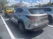 2025 Lexus NX NX 250 FWD - 23066262 - 1