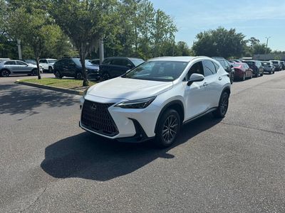 2025 Lexus NX - 2T2ADCAZ0SC016999