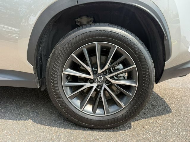 2025 Lexus NX NX 250 FWD - 23057463 - 8