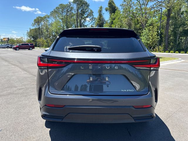 2025 Lexus NX NX 250 PREMIUM - 23018736 - 10