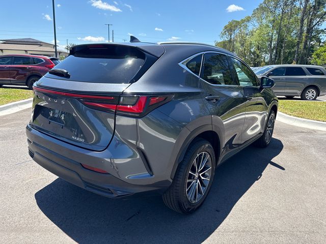 2025 Lexus NX NX 250 PREMIUM - 23018736 - 13