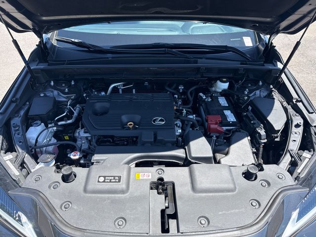 2025 Lexus NX NX 250 PREMIUM - 23018736 - 16