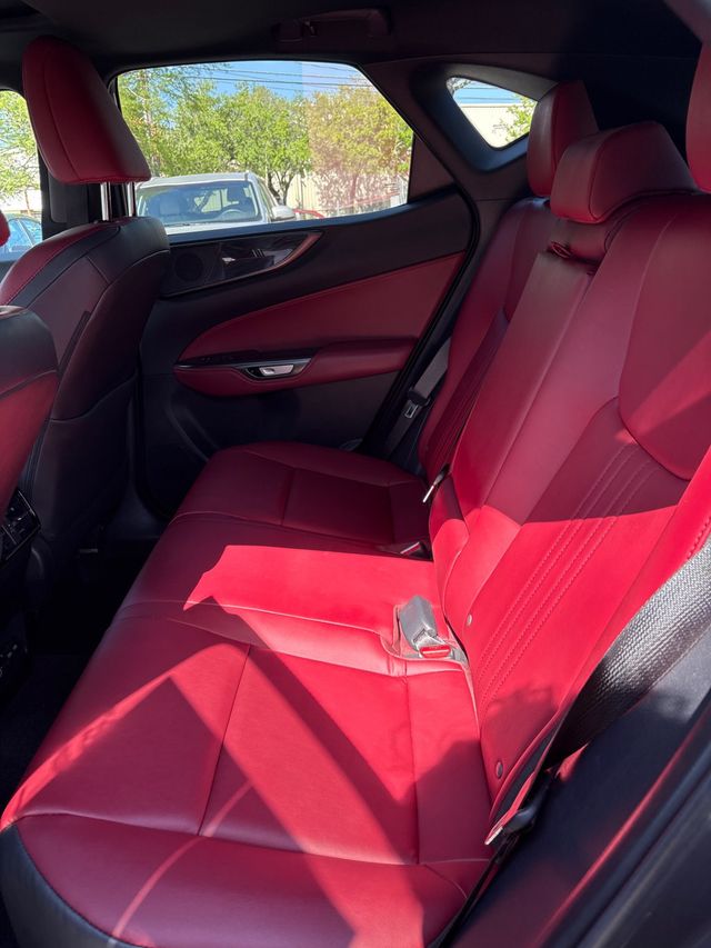 2025 LEXUS NX NX 250 PREMIUM - 23017853 - 2