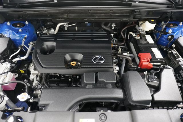 2025 Lexus NX NX 250 Premium FWD - 22970392 - 29