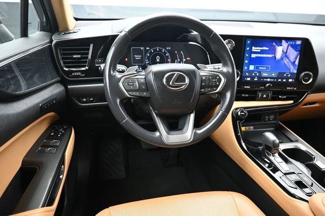 2025 Lexus NX NX 250 Premium FWD - 23032960 - 11