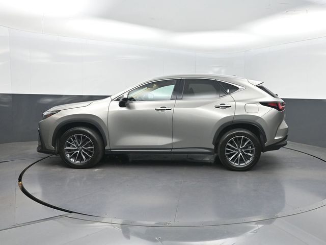 2025 Lexus NX NX 250 Premium FWD - 23032960 - 1