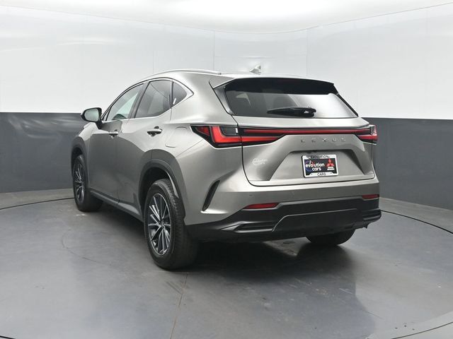 2025 Lexus NX NX 250 Premium FWD - 23032960 - 25