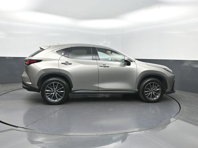 2025 Lexus NX NX 250 Premium FWD - 23032960 - 28