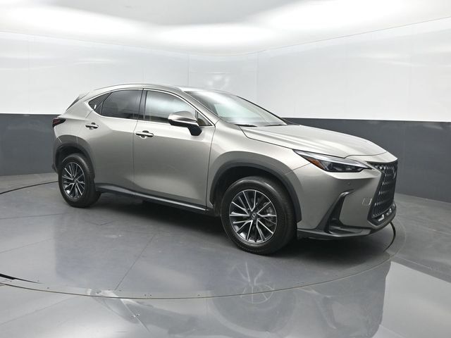 2025 Lexus NX NX 250 Premium FWD - 23032960 - 29