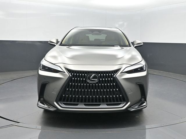 2025 Lexus NX NX 250 Premium FWD - 23032960 - 30