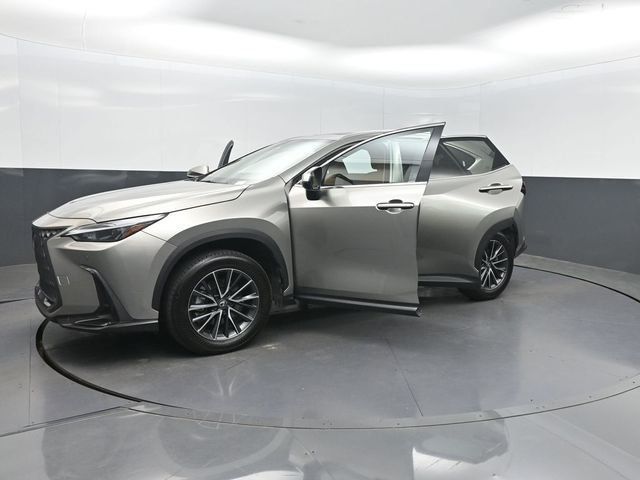 2025 Lexus NX NX 250 Premium FWD - 23032960 - 31