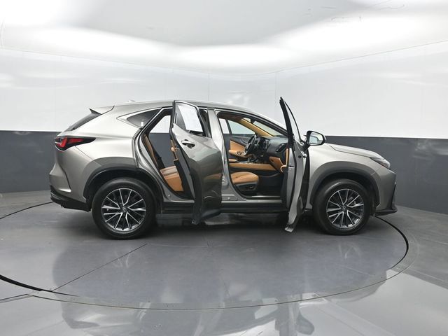 2025 Lexus NX NX 250 Premium FWD - 23032960 - 32