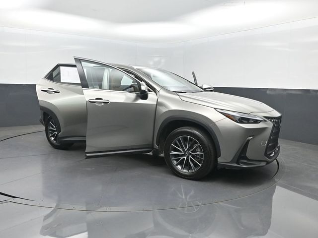 2025 Lexus NX NX 250 Premium FWD - 23032960 - 33