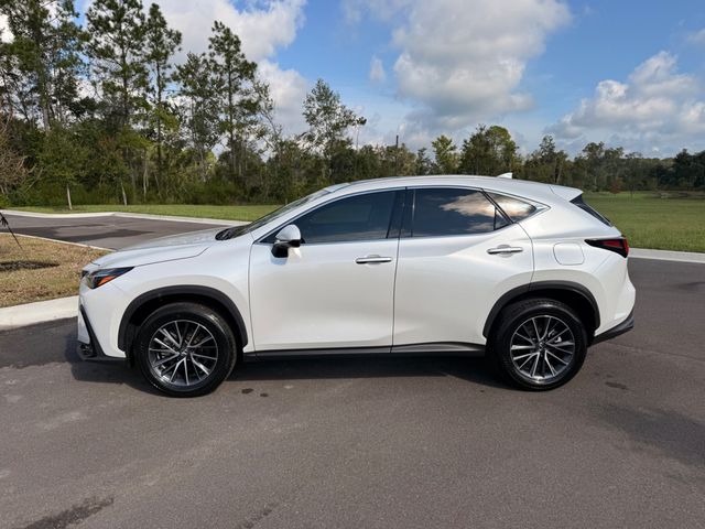 2025 Lexus NX NX 350h AWD - 23084932 - 13