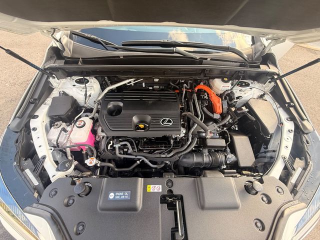 2025 Lexus NX NX 350h AWD - 23084932 - 22
