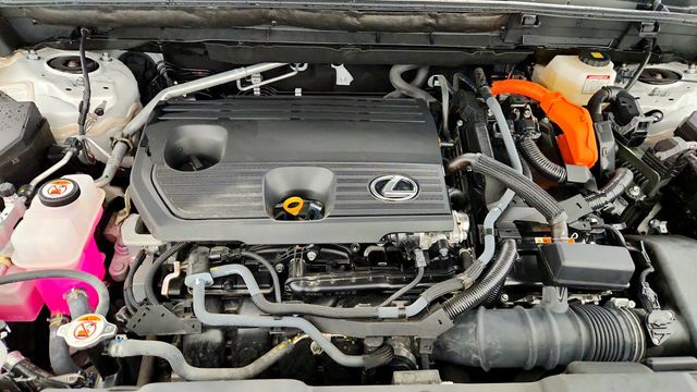 2025 Lexus NX NX 350h AWD - 23092264 - 22