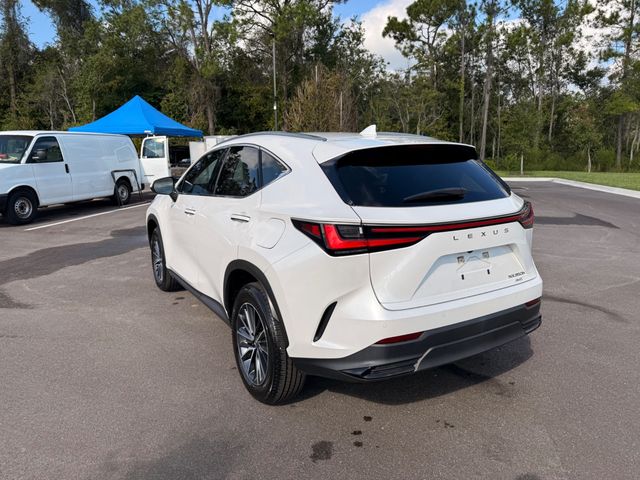 2025 Lexus NX NX 350H AWD W/ COLD WEATHER PACKAGE (OVER $2500 IN OPTIONS!!!) - 23084932 - 14