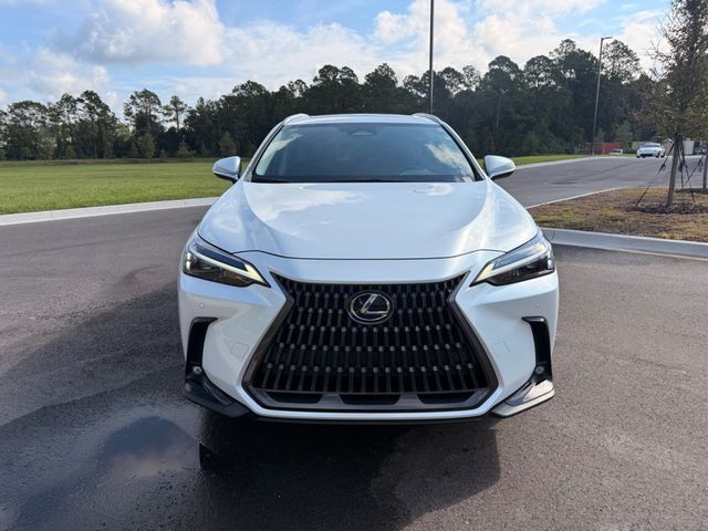 2025 Lexus NX NX 350H AWD W/ COLD WEATHER PACKAGE (OVER $2500 IN OPTIONS!!!) - 23084932 - 20