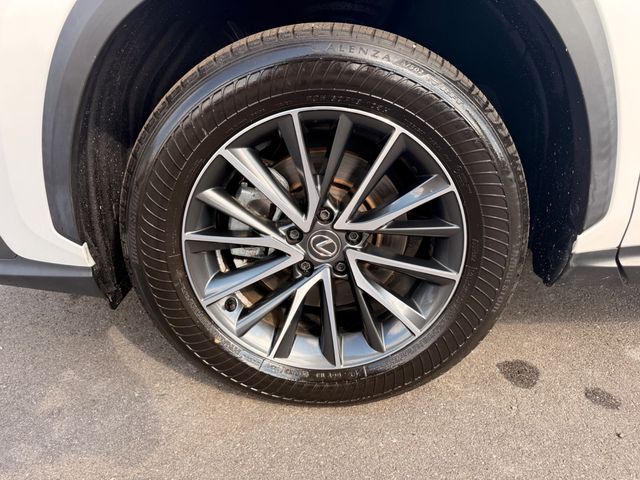 2025 Lexus NX NX 350H AWD W/ COLD WEATHER PACKAGE (OVER $2500 IN OPTIONS!!!) - 23084932 - 21