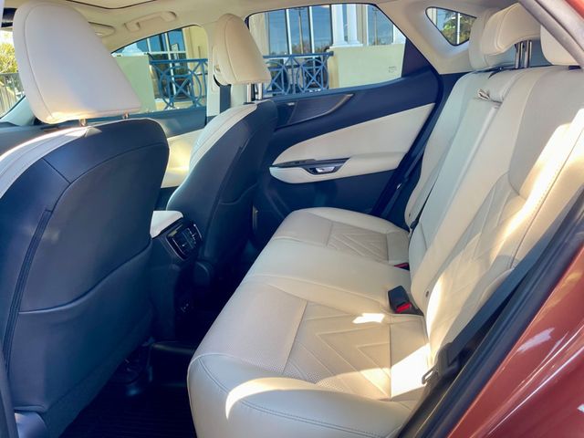 2025 Lexus NX NX 350 Luxury AWD - 22938834 - 11