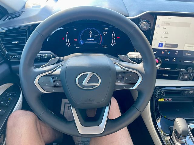 2025 Lexus NX NX 350 Luxury AWD - 22938834 - 13