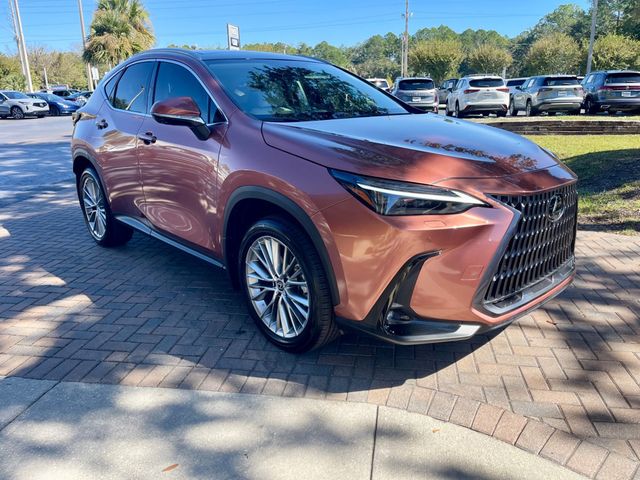 2025 Lexus NX NX 350 Luxury AWD - 22938834 - 7