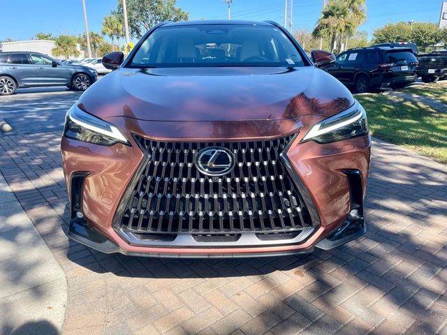 2025 Lexus NX NX 350 Luxury AWD - 22938834 - 8