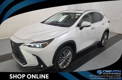 2025 Lexus NX