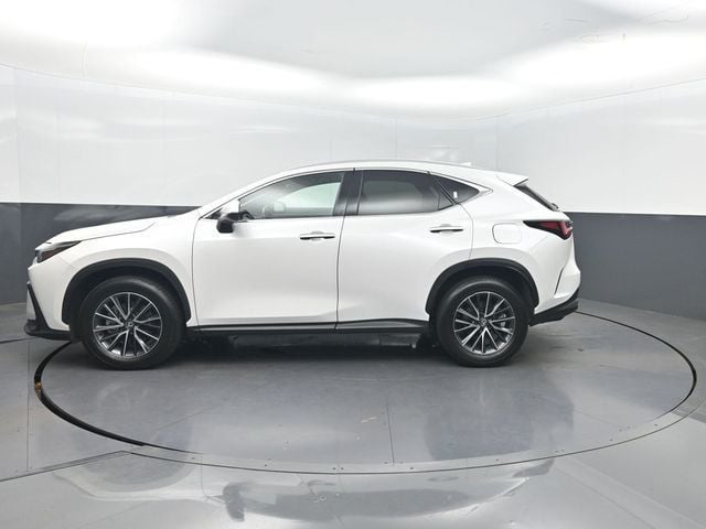 2025 Lexus NX NX 350 Premium AWD - 23048679 - 1