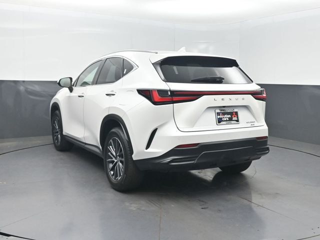 2025 Lexus NX NX 350 Premium AWD - 23048679 - 34