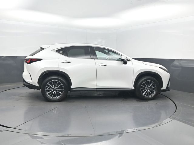 2025 Lexus NX NX 350 Premium AWD - 23048679 - 37