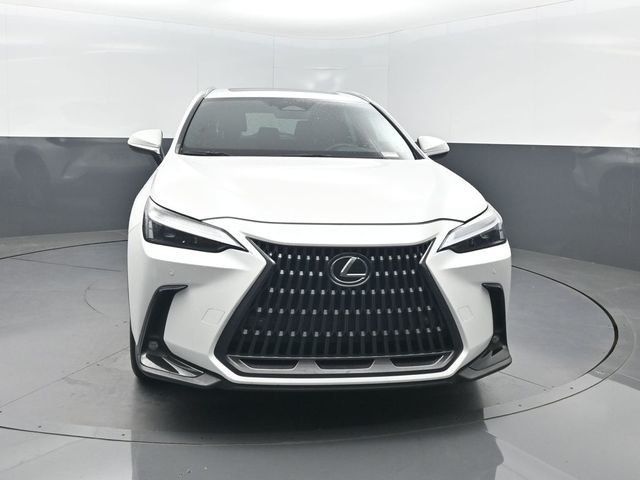 2025 Lexus NX NX 350 Premium AWD - 23048679 - 39