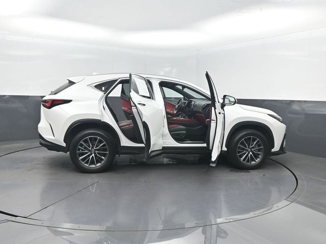 2025 Lexus NX NX 350 Premium AWD - 23048679 - 41