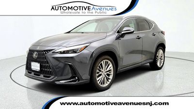 2025 Lexus NX