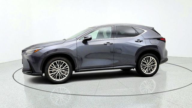 2025 Lexus NX NX 350 Premium AWD w/ 20'' Wheels & 14'' Touchscreen Display - 23092896 - 7