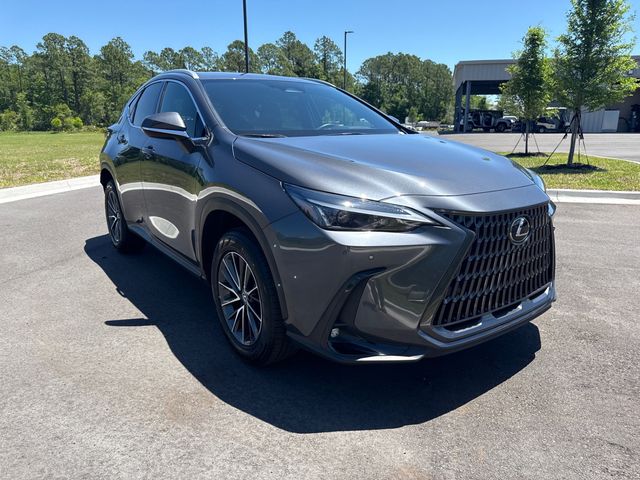2025 Lexus NX PREMIUM - 23018736 - 14