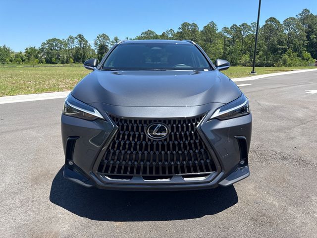 2025 Lexus NX PREMIUM - 23018736 - 15