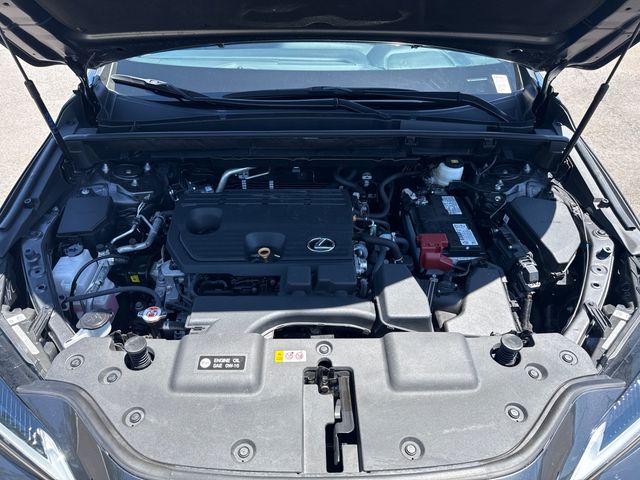 2025 Lexus NX PREMIUM - 23018736 - 16