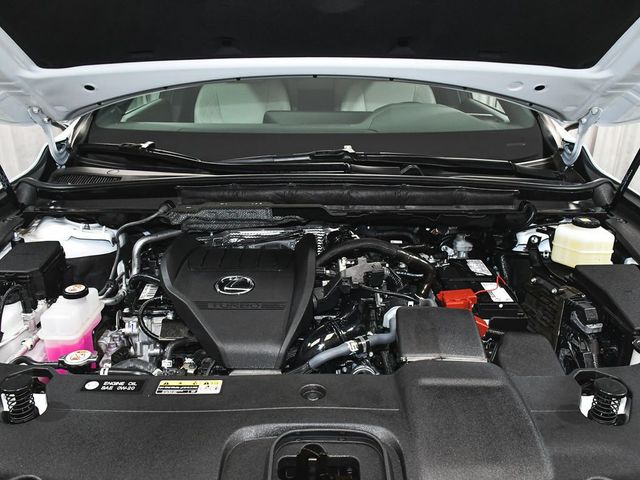 2025 Lexus RX 350 F SPORT Design - 23037228 - 64