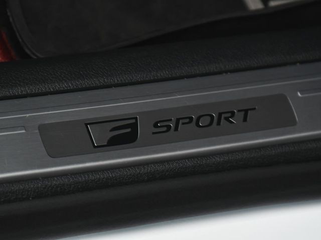 2025 Lexus RX 500h F SPORT Performance - 22995817 - 19