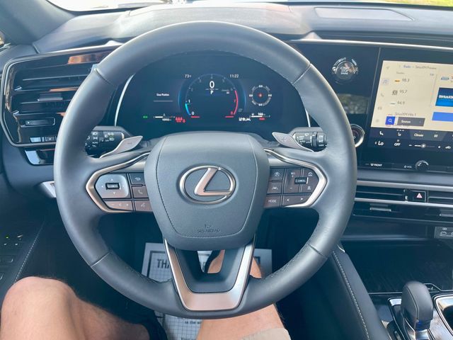 2025 Lexus RX RX 350 - 22945945 - 13