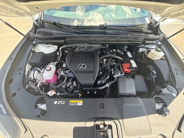 2025 Lexus RX RX 350 FWD - 23043937 - 15