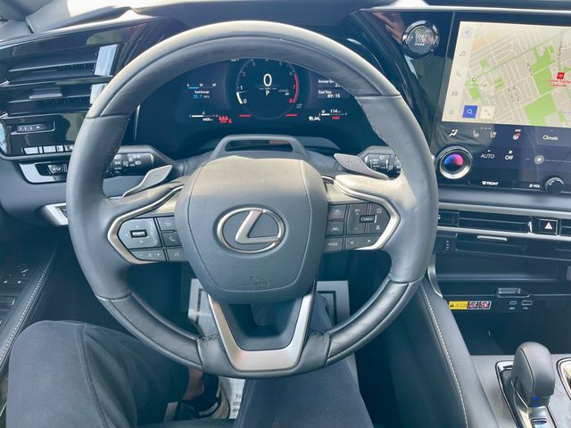 2025 LEXUS RX RX 350 PREMIUM - 22980552 - 13