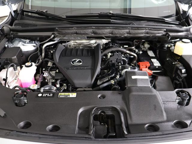 2025 Lexus RX RX 350 Premium AWD - 23064405 - 19