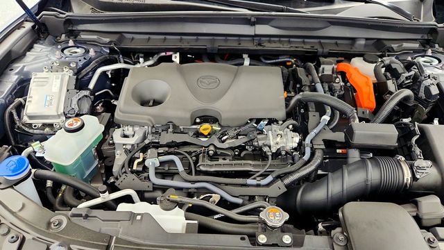 2025 Mazda CX-50 Hybrid Premium Plus Package AWD - 23006179 - 25