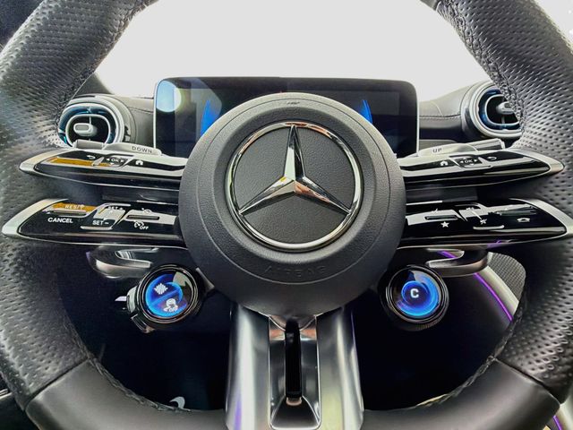 2025 Mercedes-Benz C-Class AMG C 63 S E Performance Sedan - 23070498 - 10