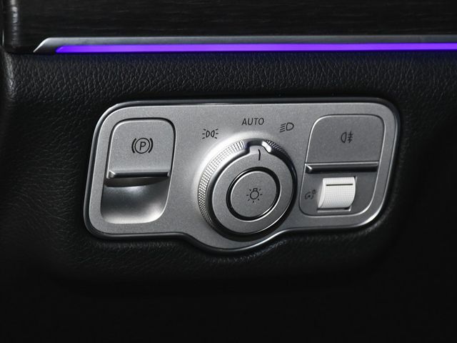 2025 Mercedes-Benz GLS GLS 450 - 22948752 - 19