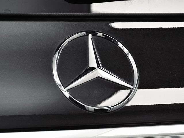 2025 Mercedes-Benz GLS GLS 450 - 22972116 - 94