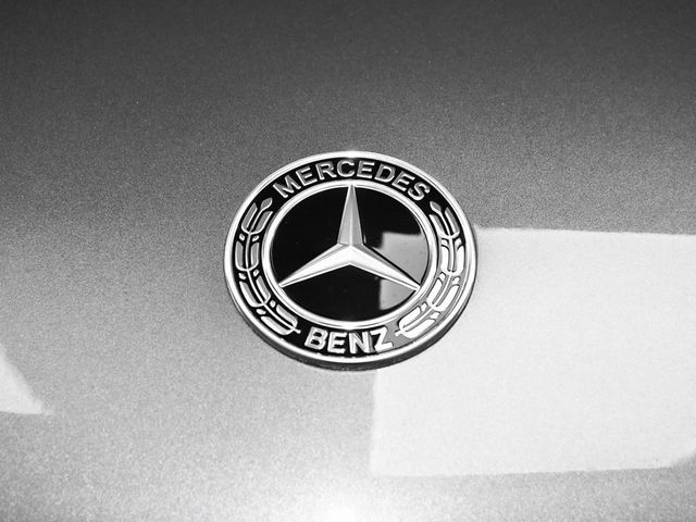 2025 Mercedes-Benz GLS GLS 450 - 22972169 - 95