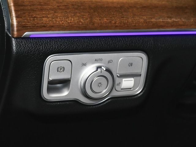 2025 Mercedes-Benz GLS GLS 450 - 22972187 - 21